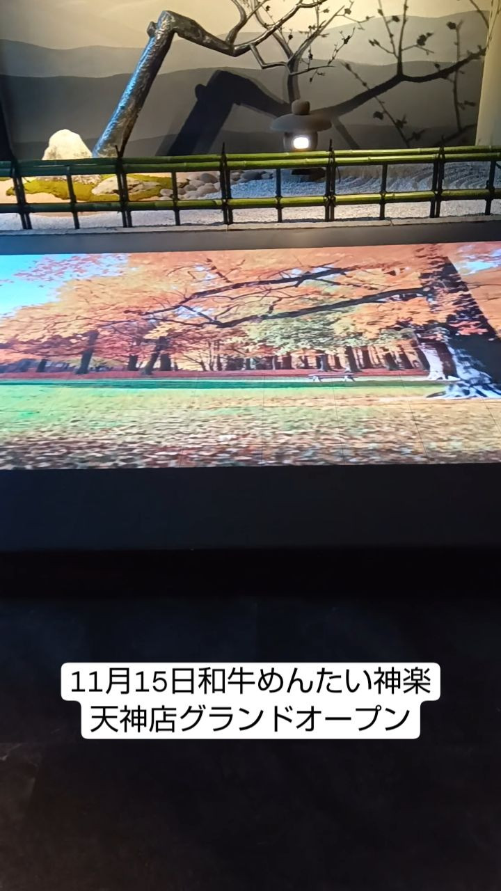 11月15日和牛めんたい神楽
